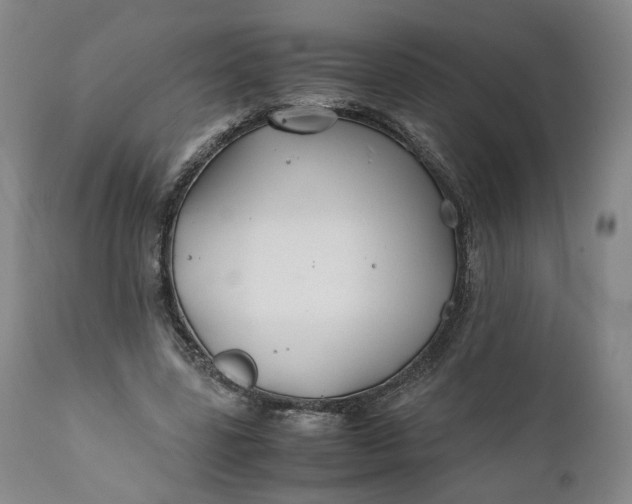 X0000110930539200907021525