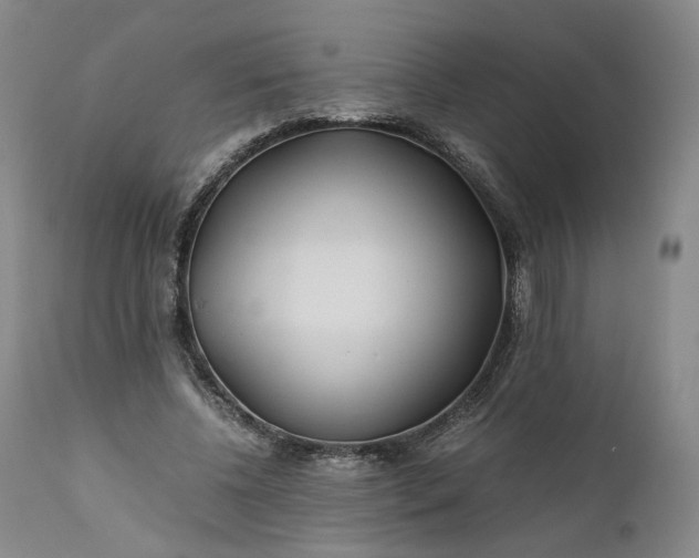 X0000110930540200907021525