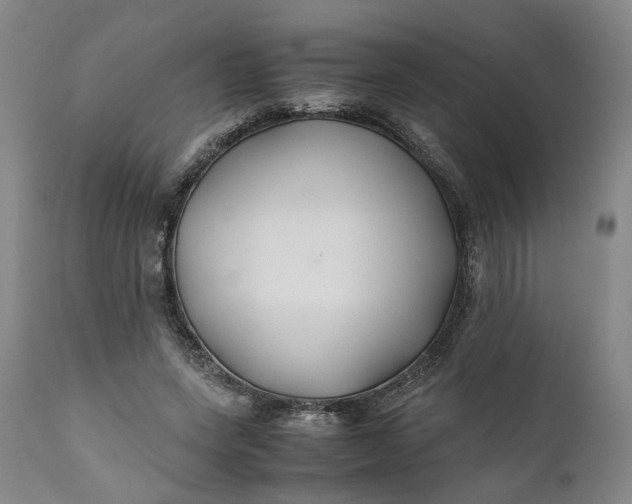 X0000110930543200907021525