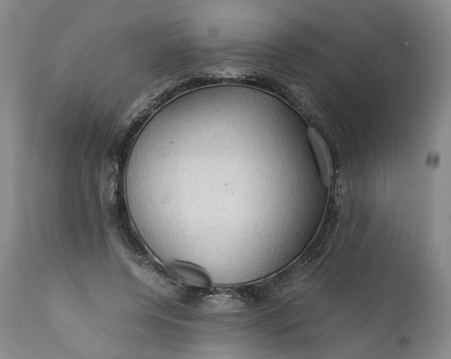 X0000110930544200907021525