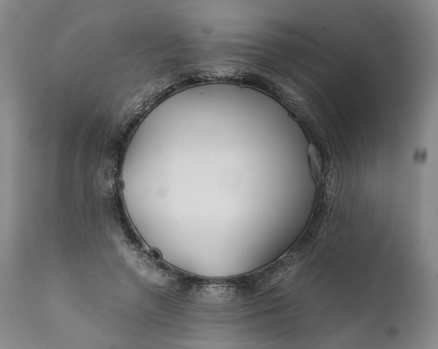 X0000110930546200907021525