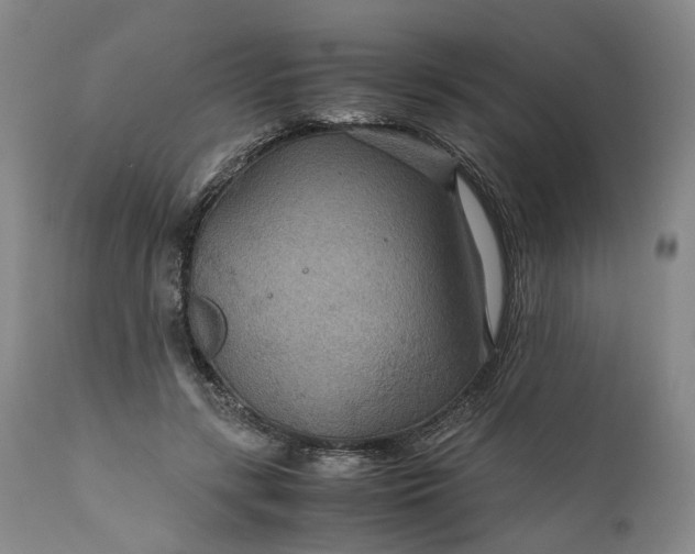 X0000110930547200907021525