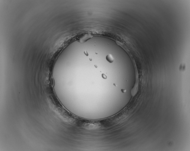 X0000110930548200907021525