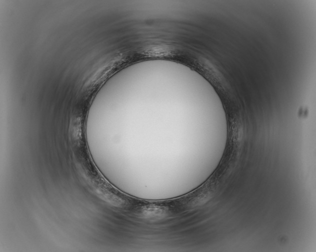 X0000110930549200907021525