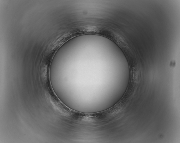 X0000110930550200907021525