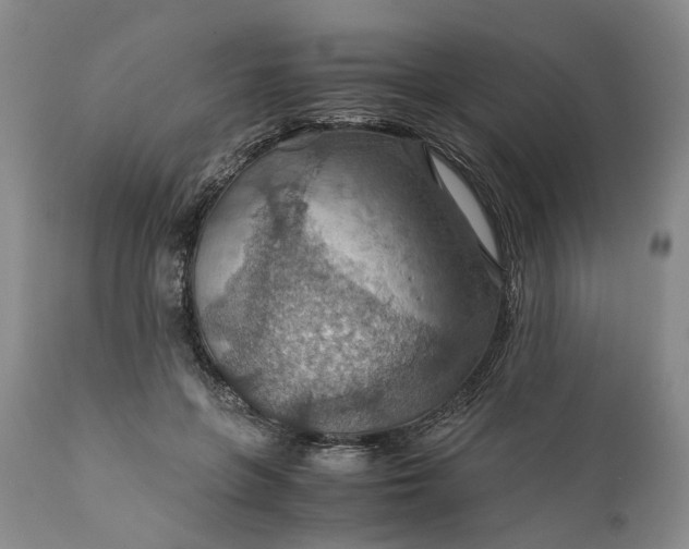 X0000110930551200907021525