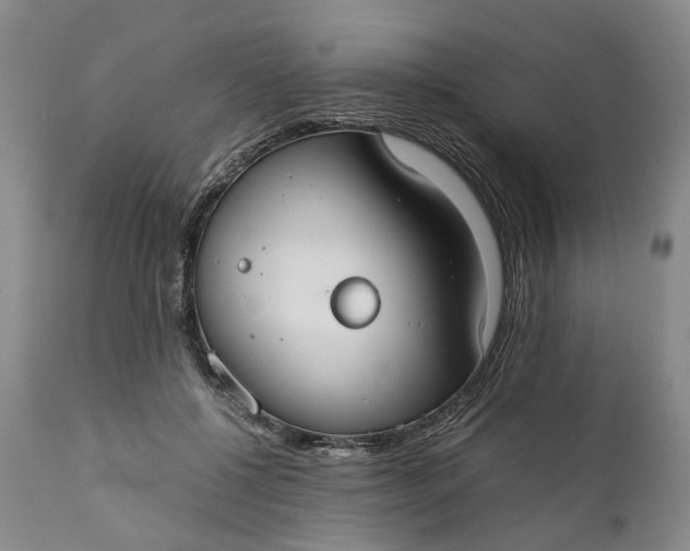 X0000110930552200907021525