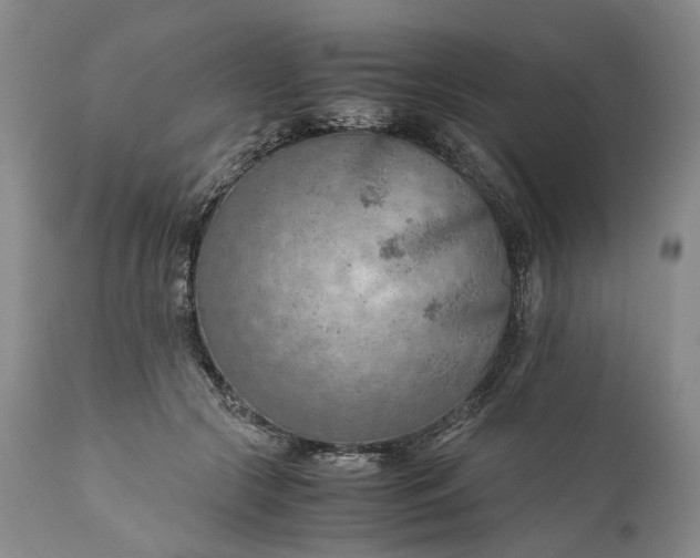 X0000110930553200907021526