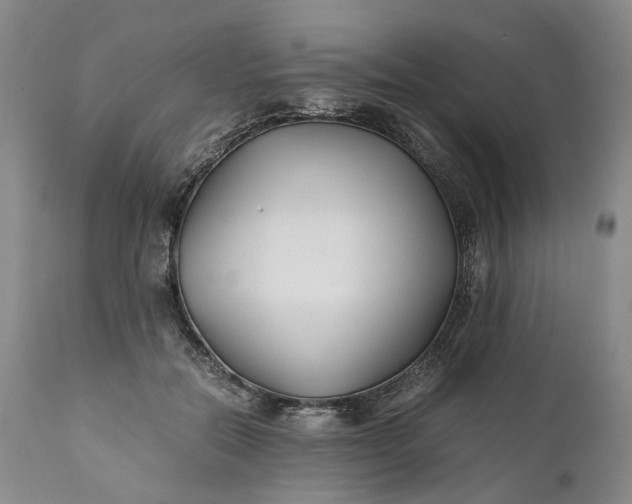 X0000110930554200907021526