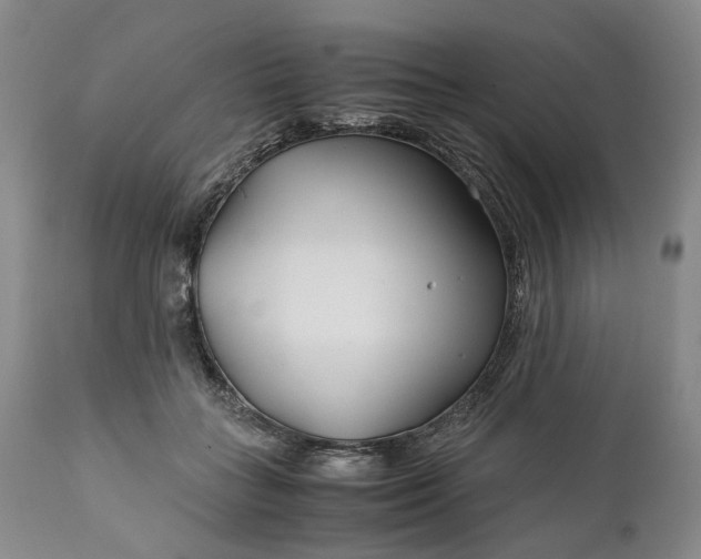 X0000110930555200907021526
