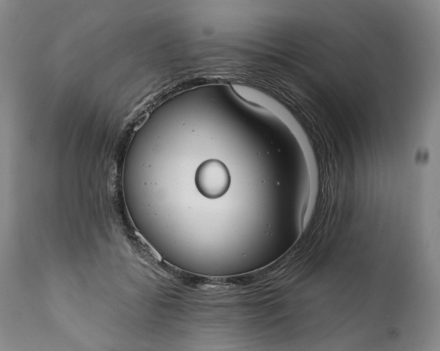 X0000110930556200907021526
