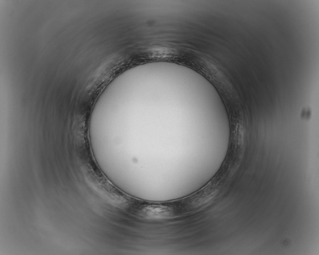 X0000110930557200907021526