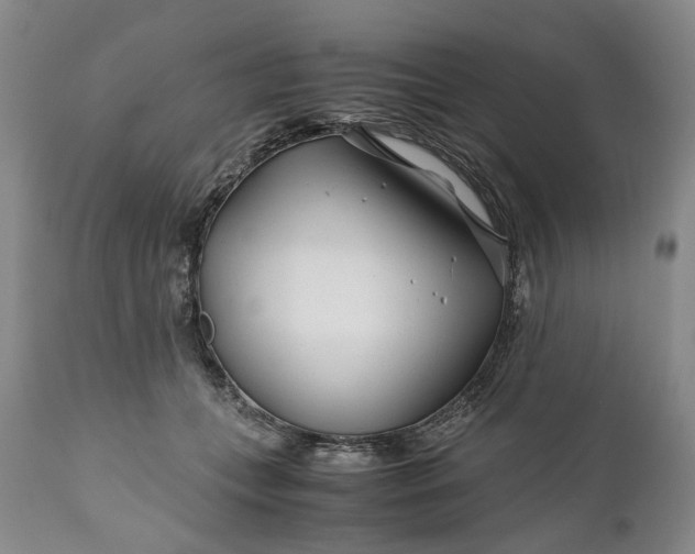 X0000110930559200907021526