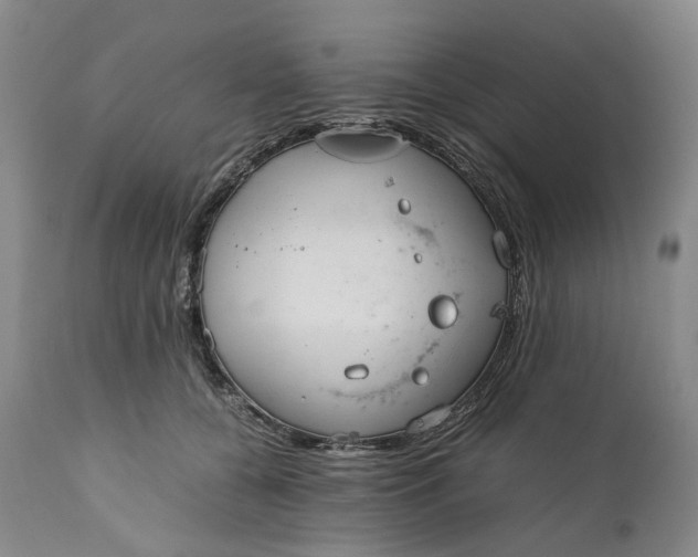 X0000110930560200907021526