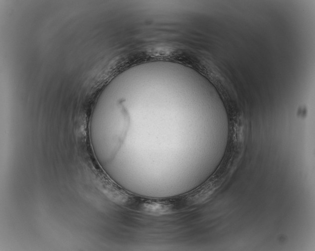 X0000110930561200907021526