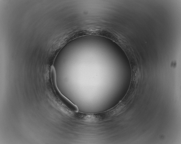 X0000110930562200907021526