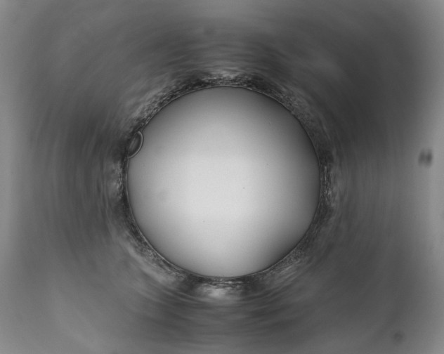 X0000110930563200907021526