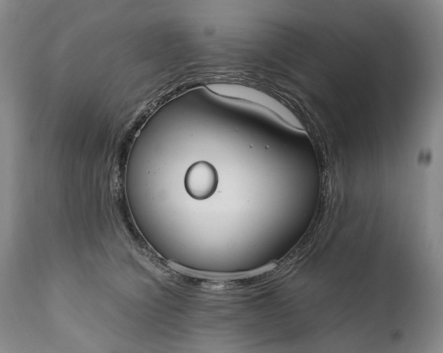 X0000110930564200907021526