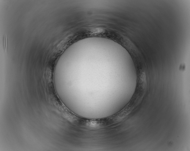 X0000110930565200907021526