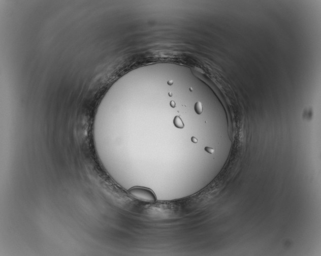 X0000110930567200907021526