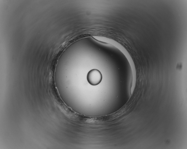 X0000110930568200907021526