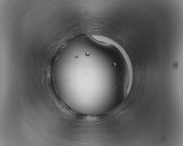 X0000110930570200907021526
