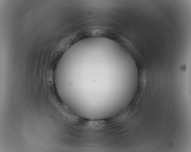 X0000110930571200907021526