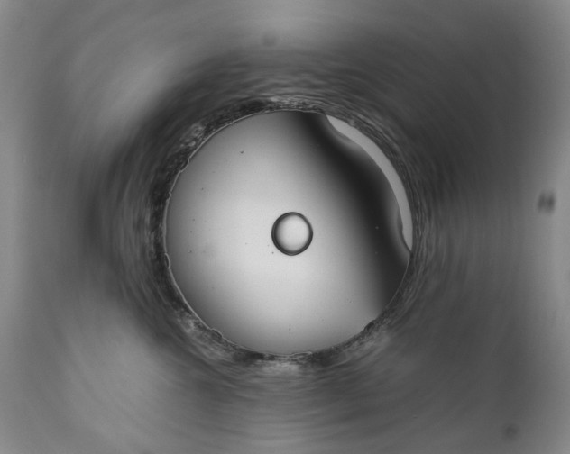 X0000110930572200907021526