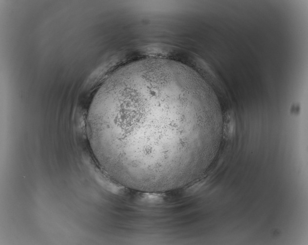 X0000110930573200907021526
