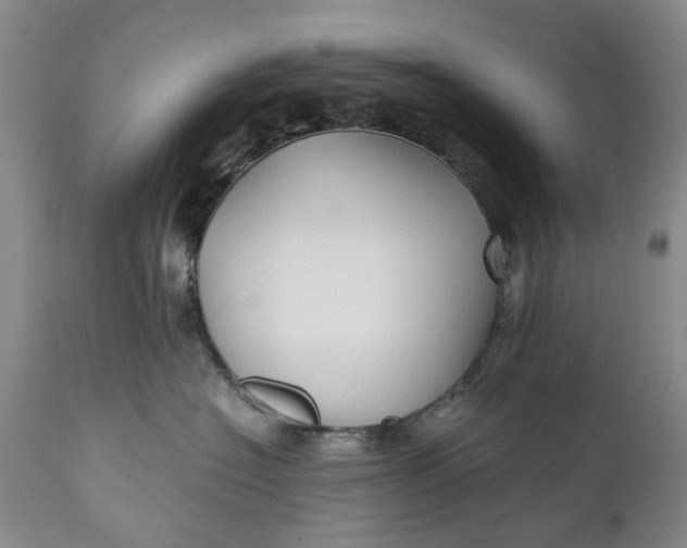 X0000110930574200907021526