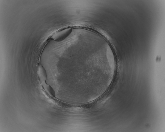 X0000110930577200907021525