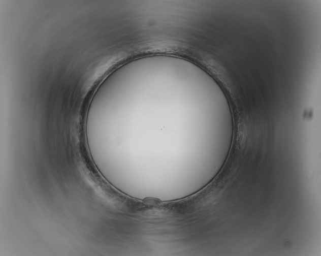X0000110930578200907021525