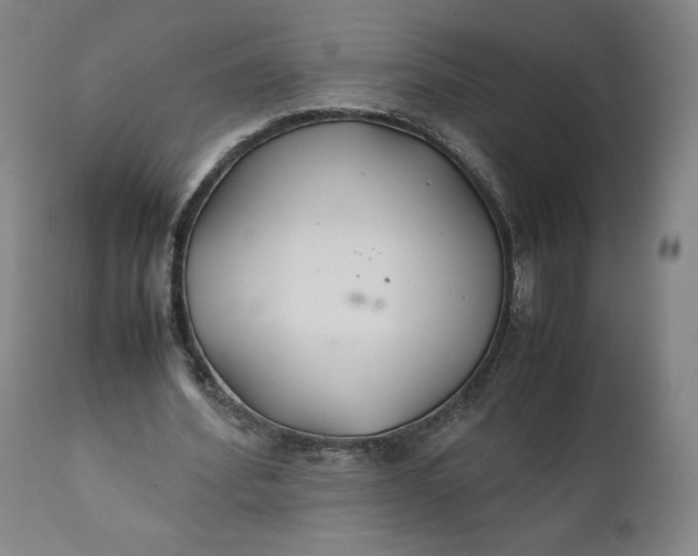 X0000110930580200907021525