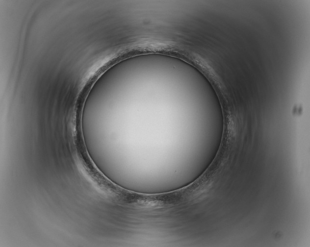 X0000110930582200907021525