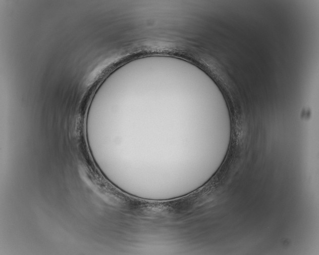X0000110930583200907021525