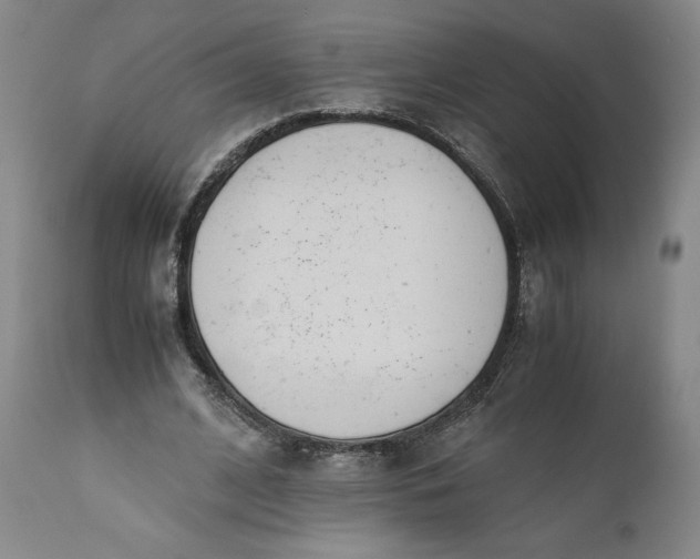 X0000110930584200907021525