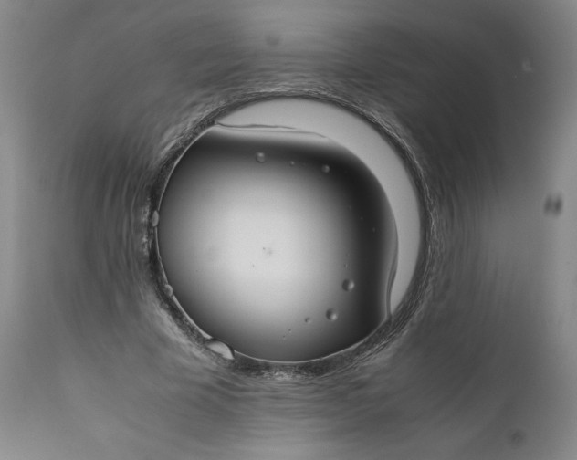 X0000110930585200907021525