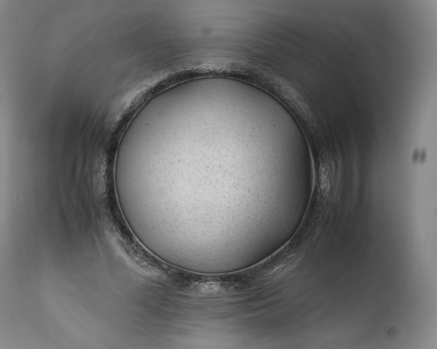 X0000110930588200907021525