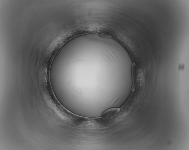 X0000110930589200907021525