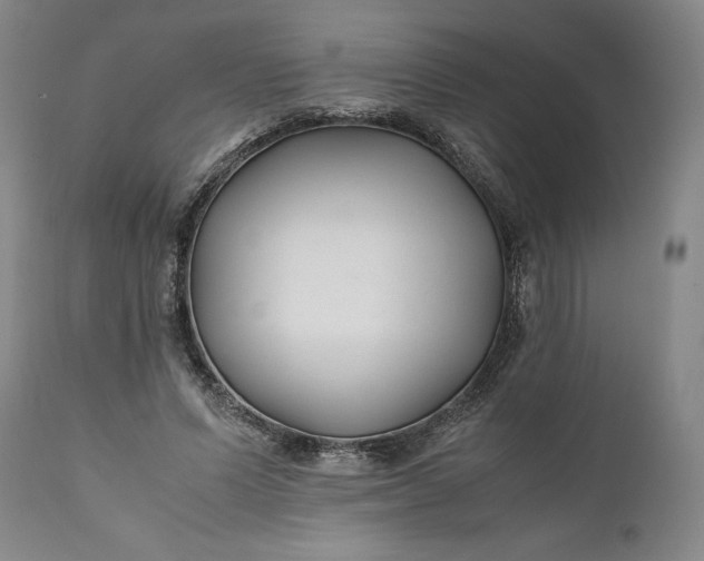 X0000110930591200907021525