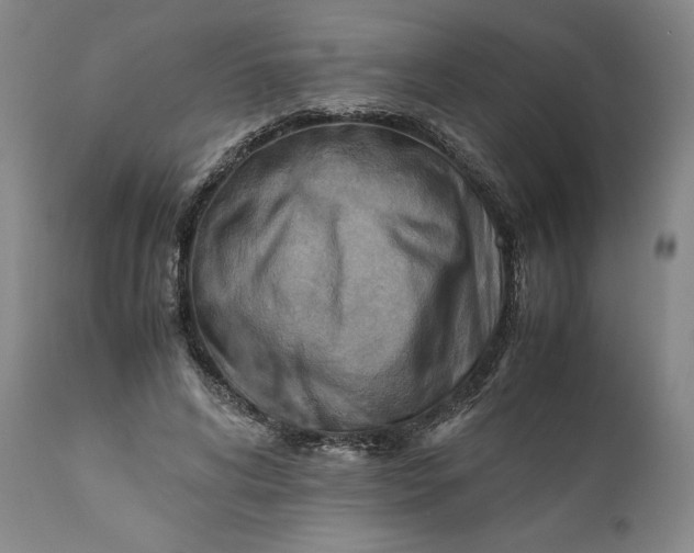 X0000110930592200907021525