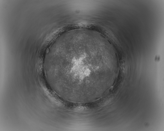 X0000110930593200907021525