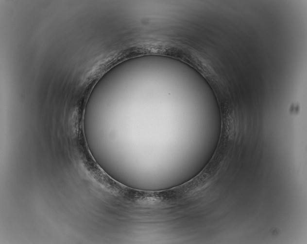 X0000110930594200907021525
