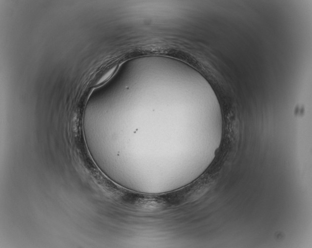 X0000110930597200907021525