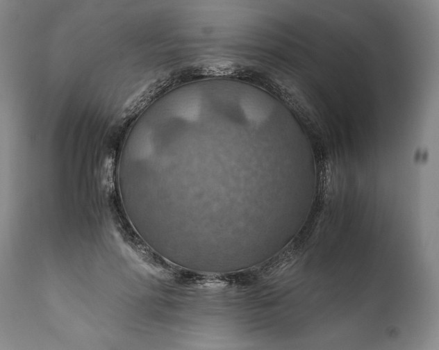 X0000110930598200907021525