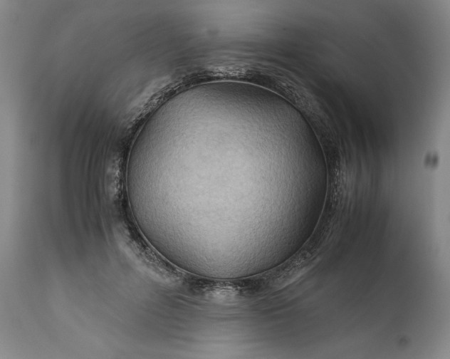 X0000110930600200907021525