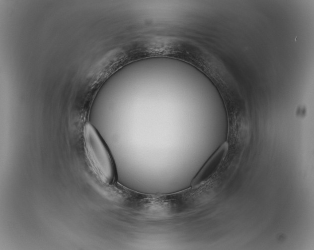 X0000110930601200907021525