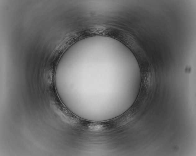 X0000110930602200907021525