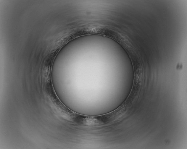 X0000110930605200907021525