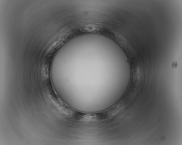 X0000110930606200907021525